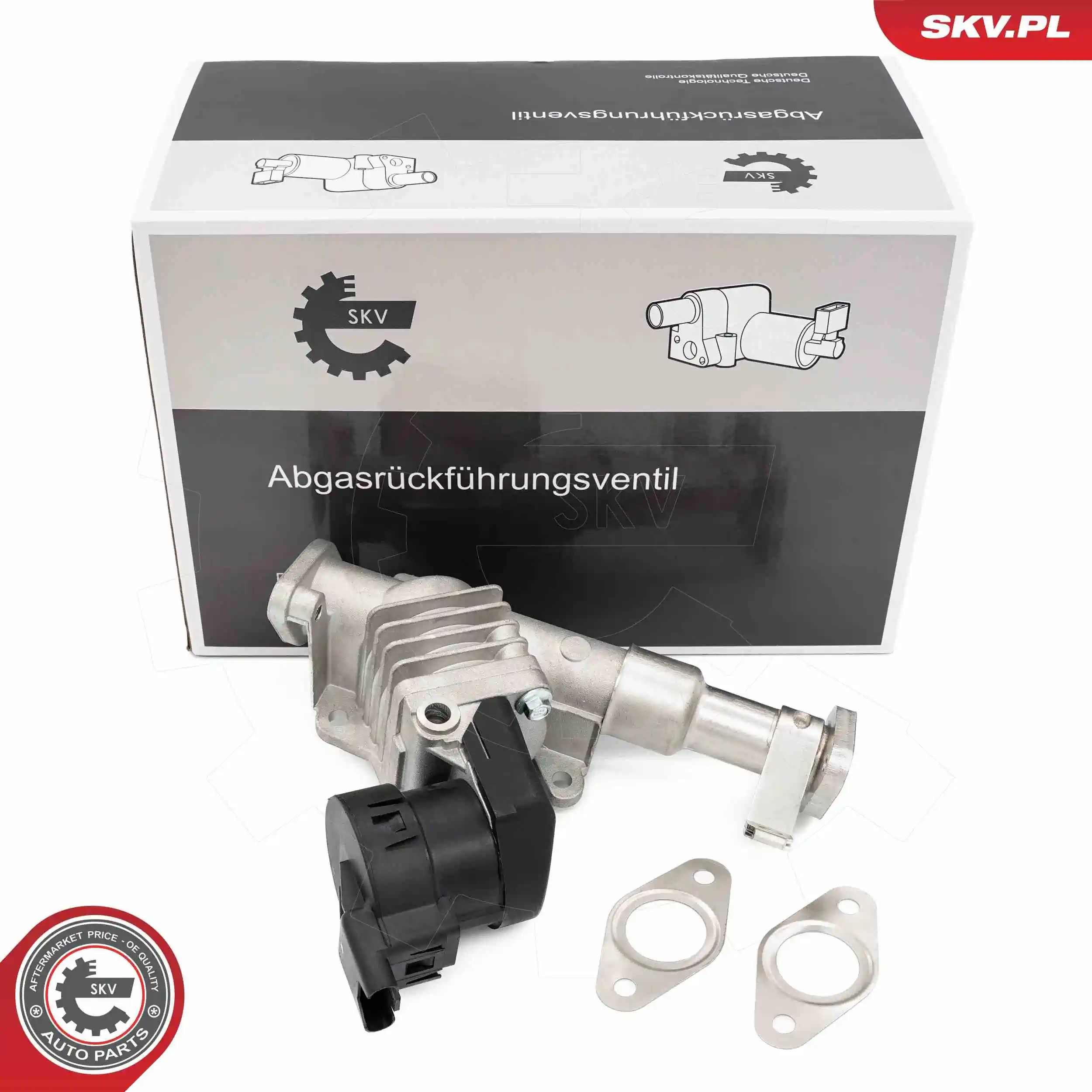 EGR Valve